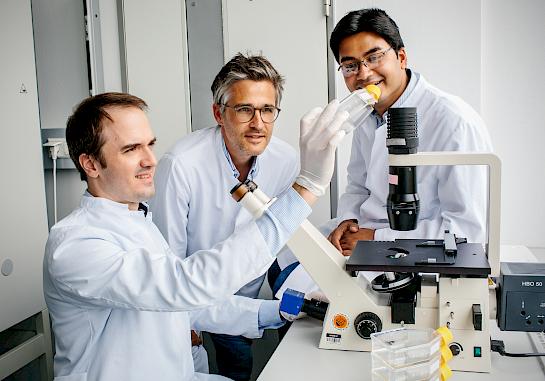 Drei Forscher des Herzzentrums bei der Arbeit mit einem Mikroskop